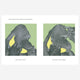 Books - If You Make A Call On A Banana Phone by Gideon Sterer
