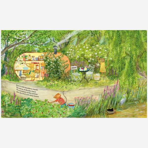 Books - Mouse's Wood: A Year in Nature