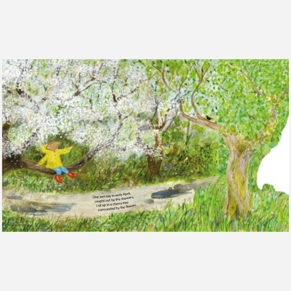 Books - Mouse's Wood: A Year in Nature