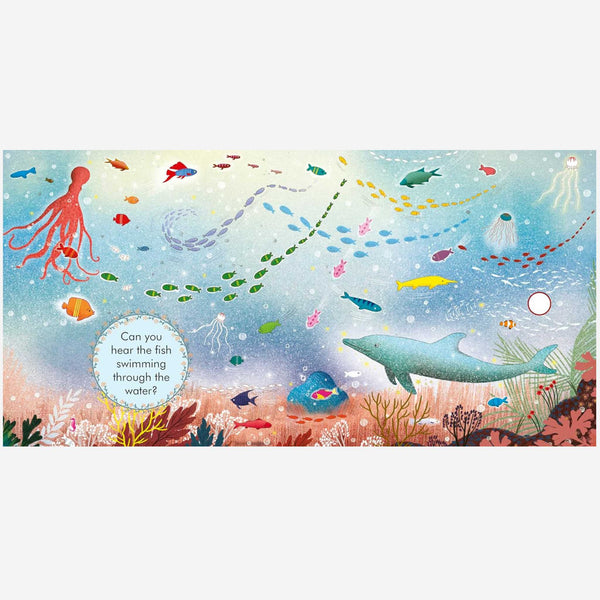 Books - My First Story Orchestra: Carnival of the Animals