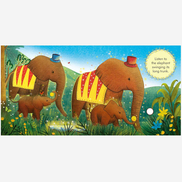 Books - My First Story Orchestra: Carnival of the Animals