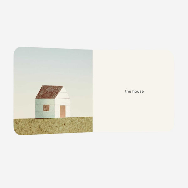 Books - Now I See Summer by Mac Barnett and Jon Klassen