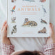 Books - Our Big Book Of Animals By Tabitha Paige