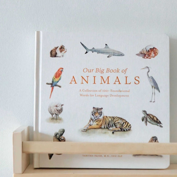 Books - Our Big Book Of Animals By Tabitha Paige
