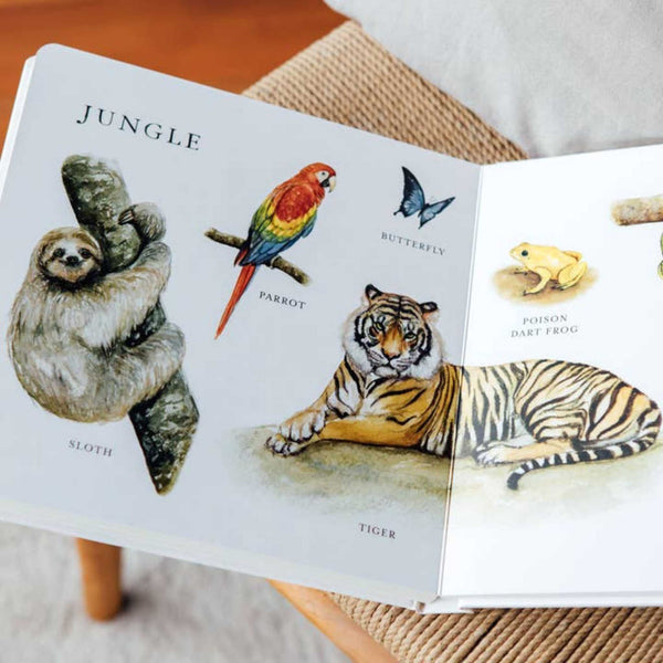 Books - Our Big Book Of Animals By Tabitha Paige