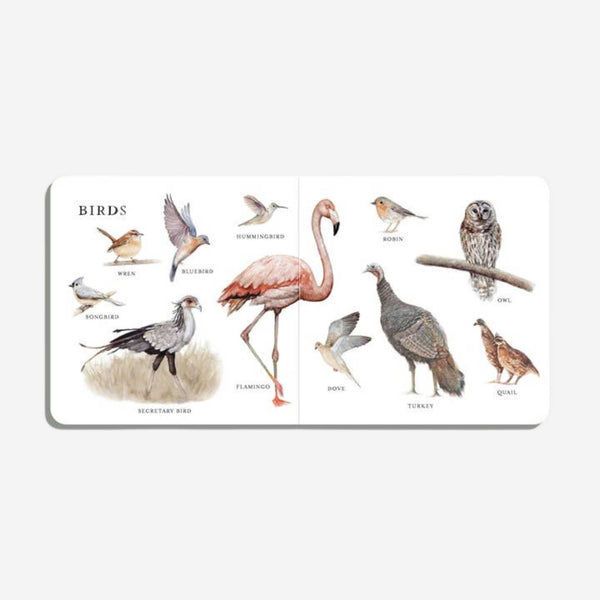 Books - Our Big Book Of Animals By Tabitha Paige