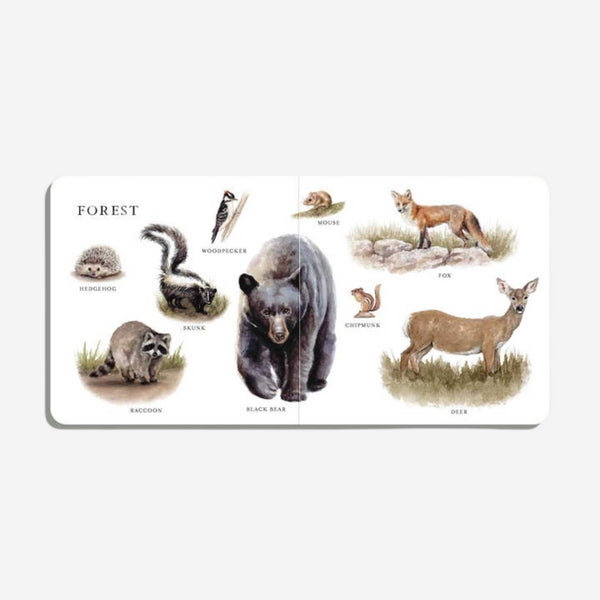 Books - Our Big Book Of Animals By Tabitha Paige