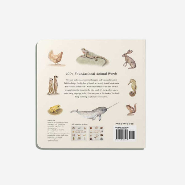 Books - Our Big Book Of Animals By Tabitha Paige