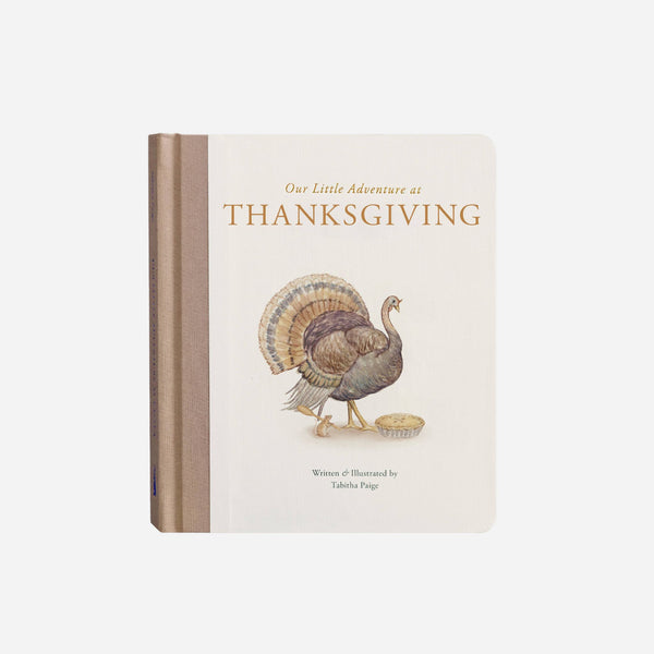 Books - Our Little Adventure at Thanksgiving