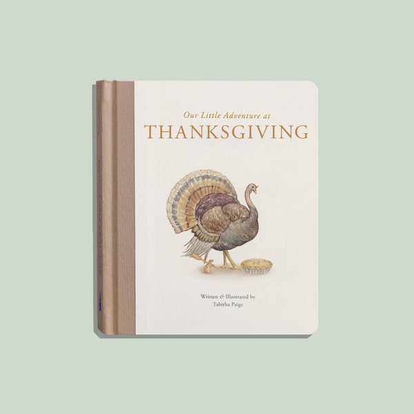 Books - Our Little Adventure at Thanksgiving