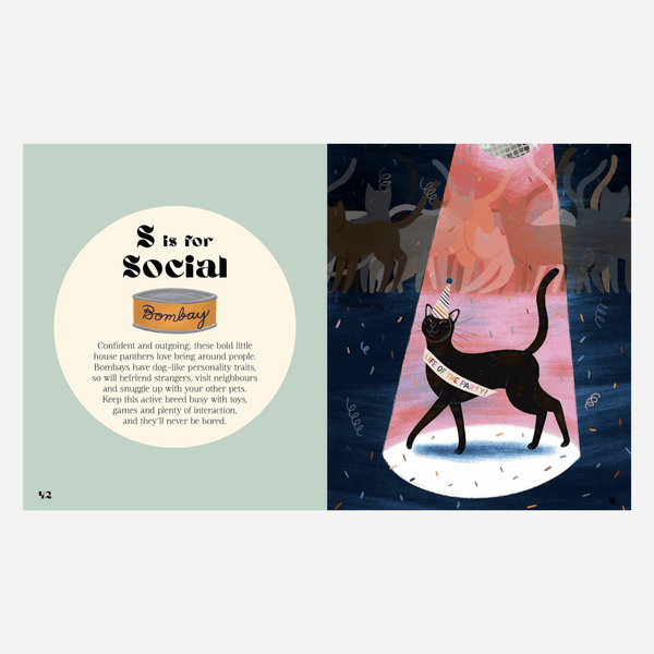 Catphabet Book - A Whimsical Celebration Of Our Feline Friends