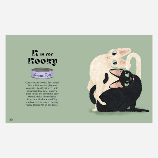 Catphabet Book - A Whimsical Celebration Of Our Feline Friends