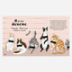 Catphabet Book - A Whimsical Celebration Of Our Feline Friends