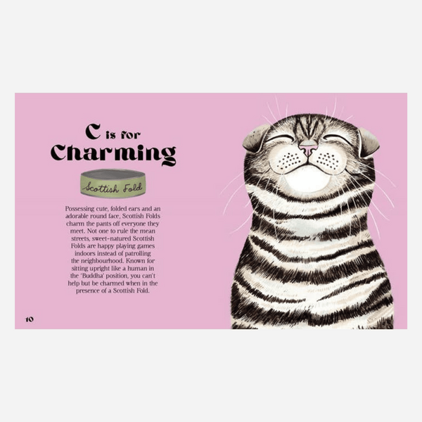 Catphabet Book - A Whimsical Celebration Of Our Feline Friends