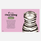 Catphabet Book - A Whimsical Celebration Of Our Feline Friends