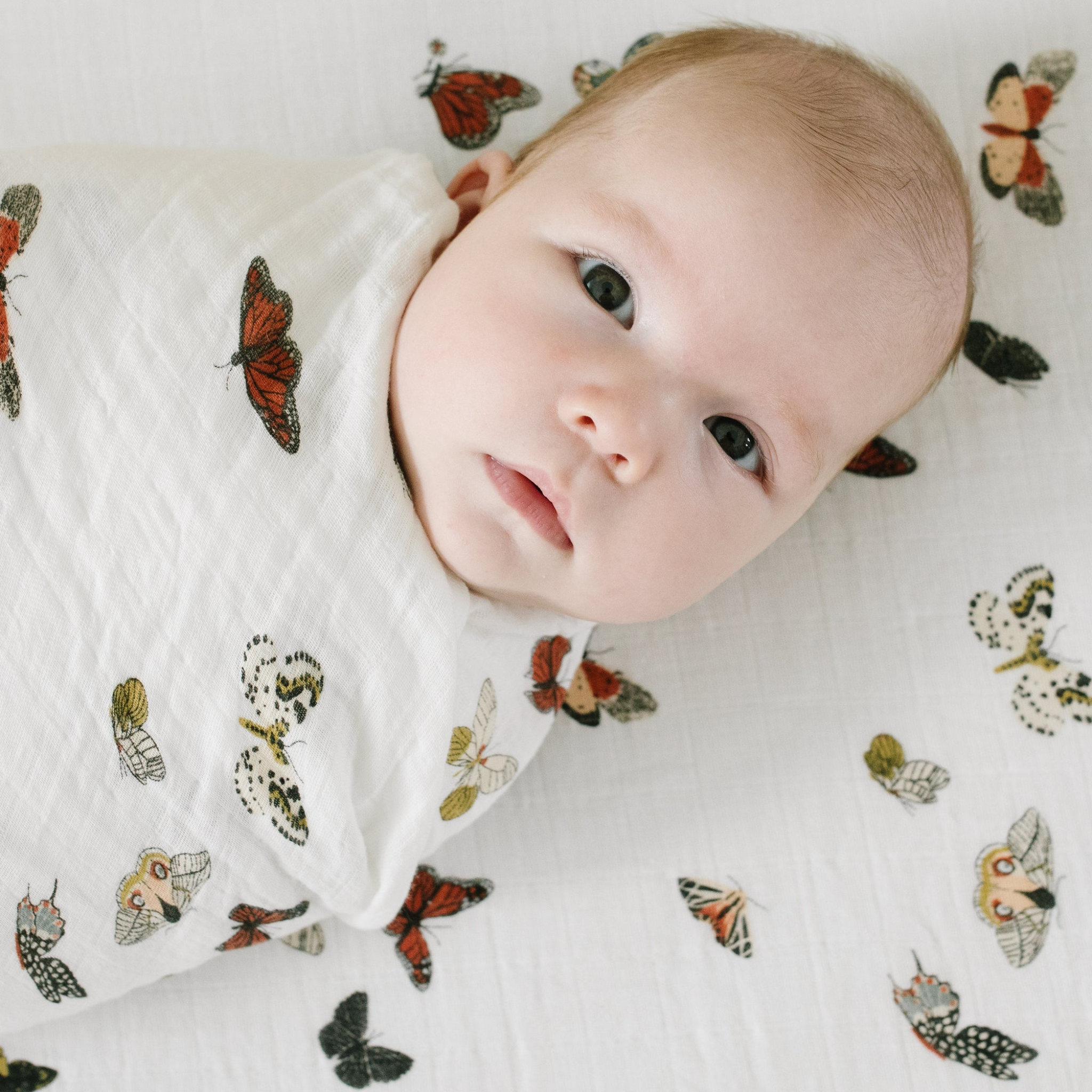 Clementine top crib sheet