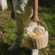 Coco Village - Scallop Edge Basket - Medium