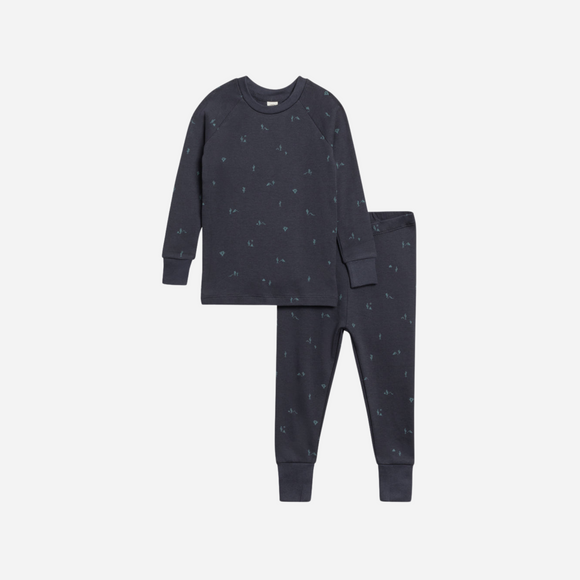 Colored Organics - 2 Piece Long Sleeve Jammie Set - Cactus / Navy+Teal