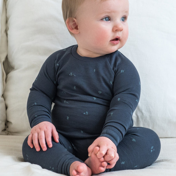 Colored Organics - 2 Piece Long Sleeve Jammie Set - Cactus / Navy+Teal