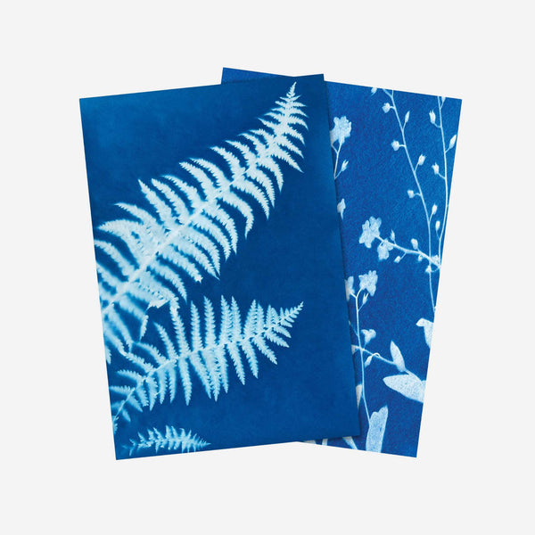 Copernicus Toys - Sun Snap Photo Paper: Cyanotype sun print kit 5.8x8.3”