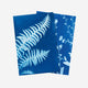 Copernicus Toys - Sun Snap Photo Paper: Cyanotype sun print kit 5.8x8.3”