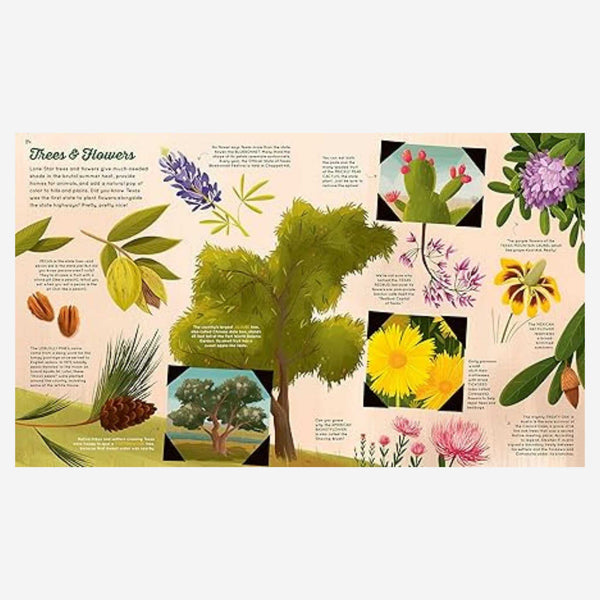 Dearly - Only in Texas