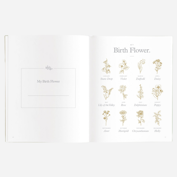 Fox & Fallow - Gold-Foil Linen Baby Book with Box - Forget Me Not