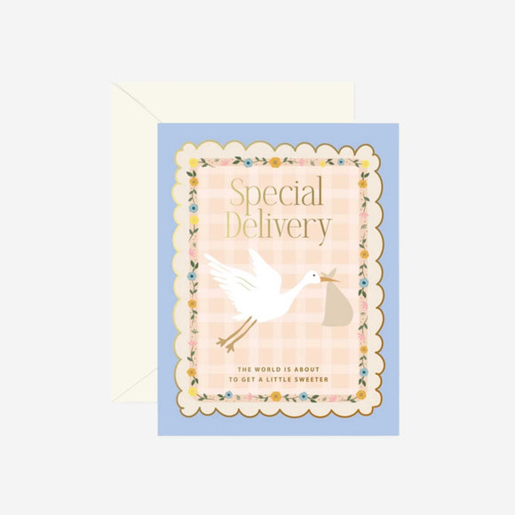 Ginger P. Designs - Stork Special Delivery Greeting Card