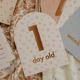 Fox & Fallow - Gold-Foil Baby Milestone Cards - Broderie