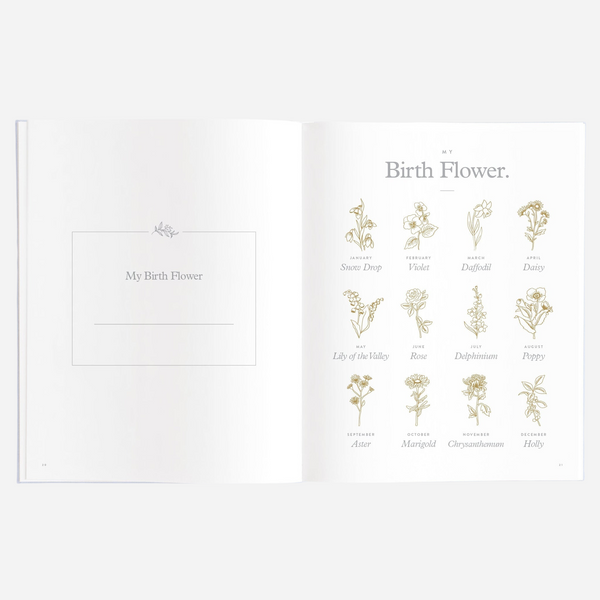 Fox & Fallow - Gold-Foil Linen Baby Book with Box - Powder