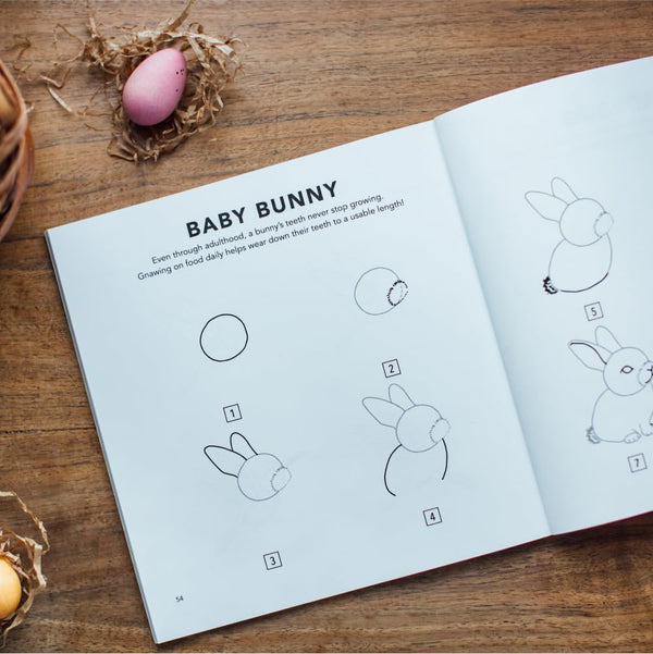 How to Draw Spring Things by Alli Koch
