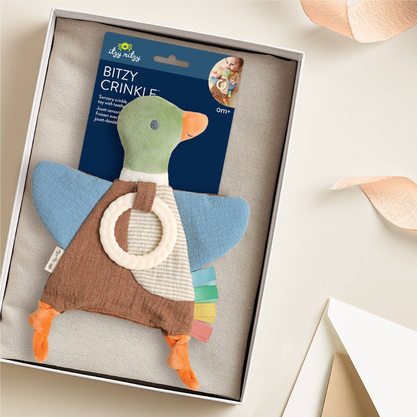 Itzy Ritzy - Bitzy Crinkle - Mallard Duck