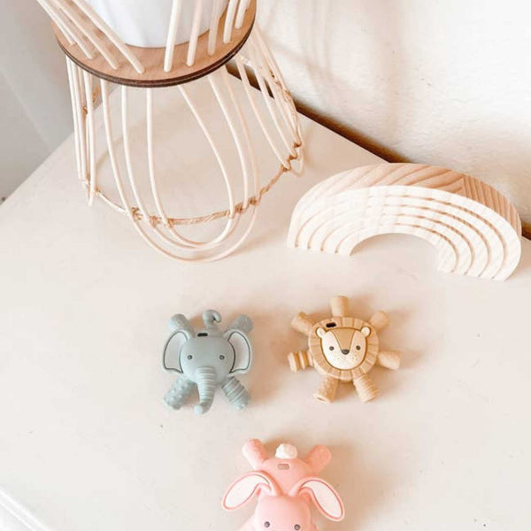 Itzy Ritzy - Ritzy Teether™ Baby Molar Teether