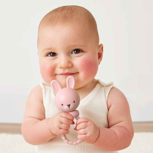 Itzy Ritzy - Shake Rattle Bunny