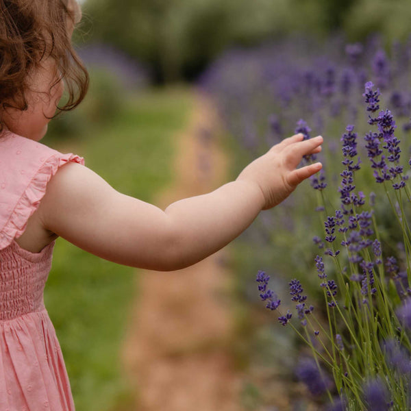 Jamie Kay - Organic Cotton  Claudine Dress - Swiss Pink