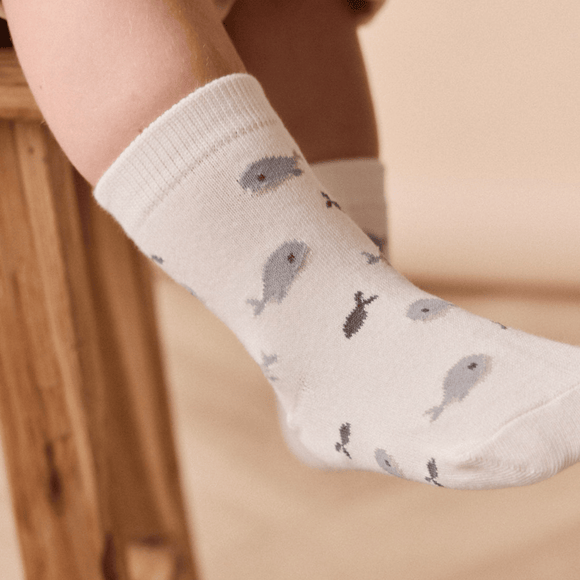 Jamie Kay - Whale Sock - Could Whales