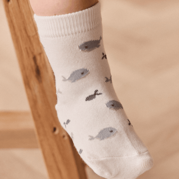 Jamie Kay - Whale Sock - Could Whales