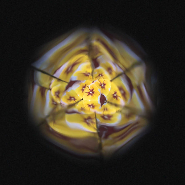 Janod - Flower Kaleidoscope