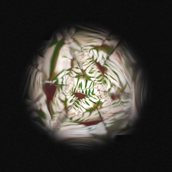 Janod - Flower Kaleidoscope