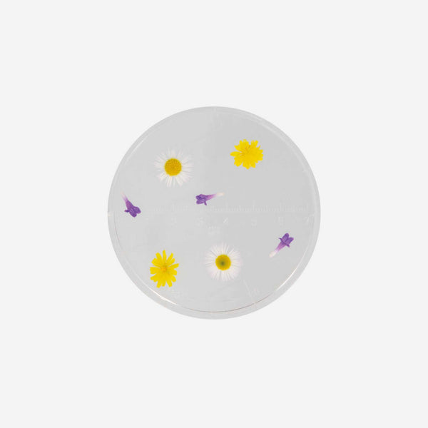 Janod - Observation Glass