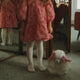 Konges Sløjd - Spitz Puppy - Beige