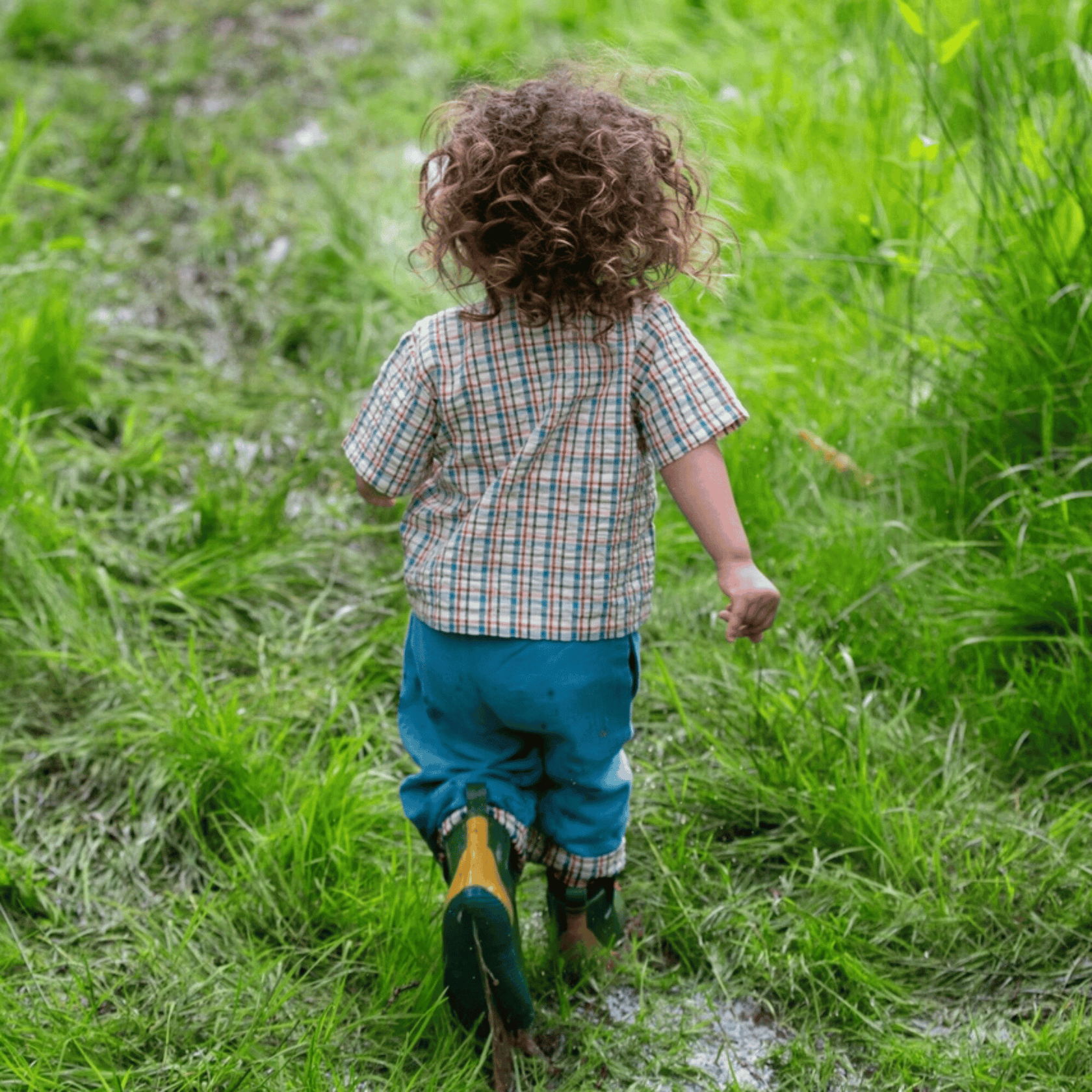 Little Green Radicals - Checked Seersucker Loose Short Sleeve Henley Top