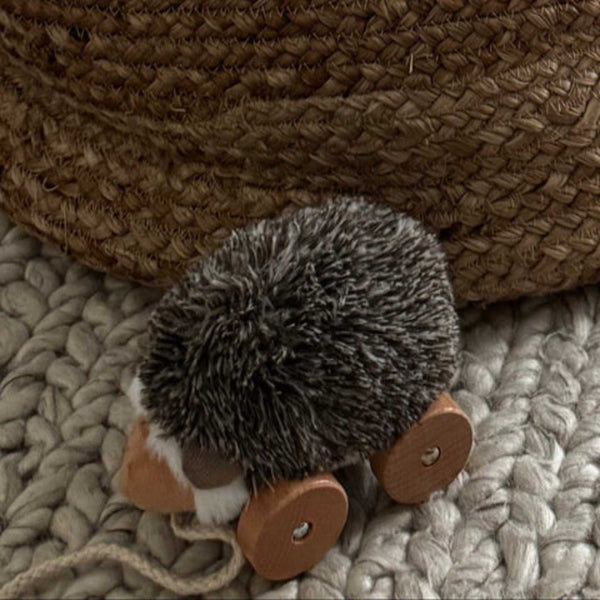 Little Lamb Kind - Hedgie // Pull-along toys