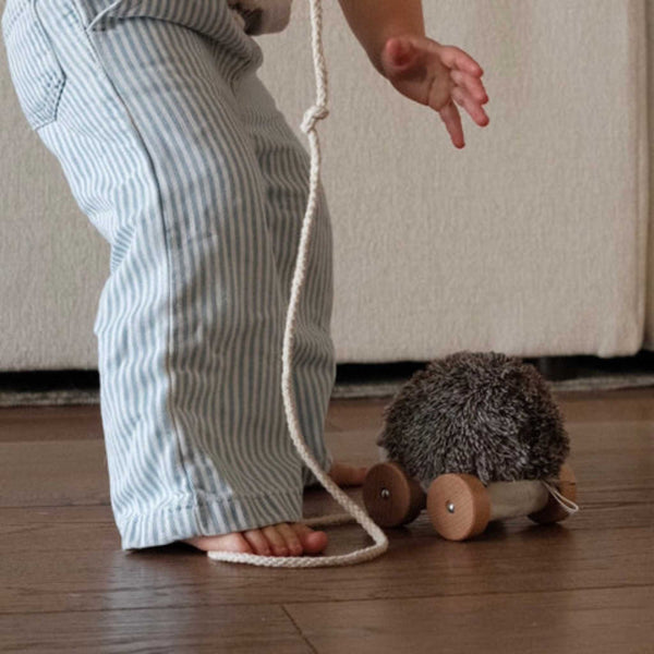 Little Lamb Kind - Hedgie // Pull-along toys
