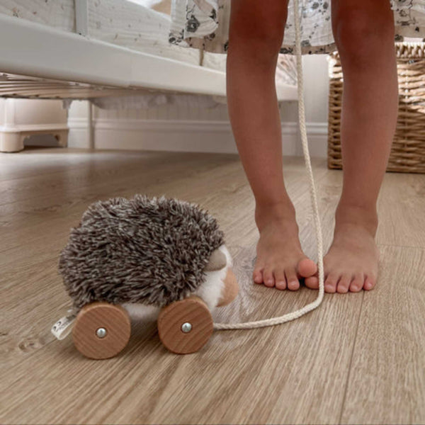 Little Lamb Kind - Hedgie // Pull-along toys
