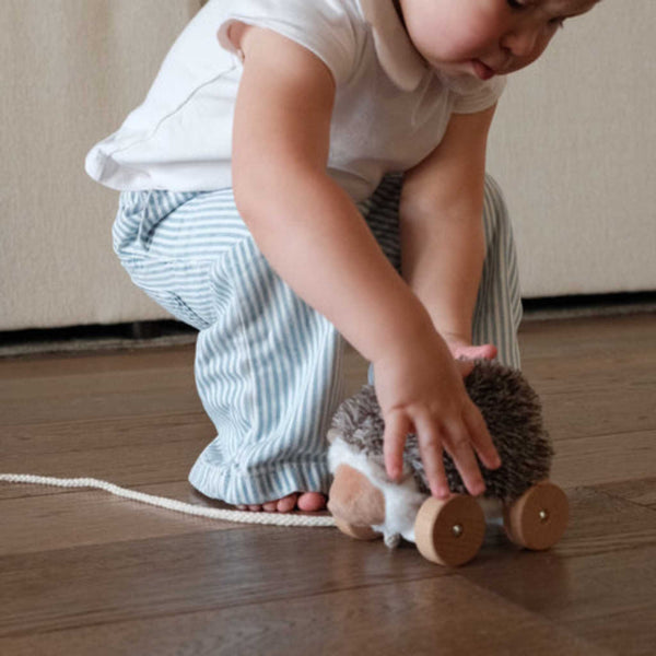 Little Lamb Kind - Hedgie // Pull-along toys