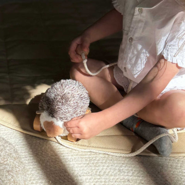 Little Lamb Kind - Hedgie // Pull-along toys