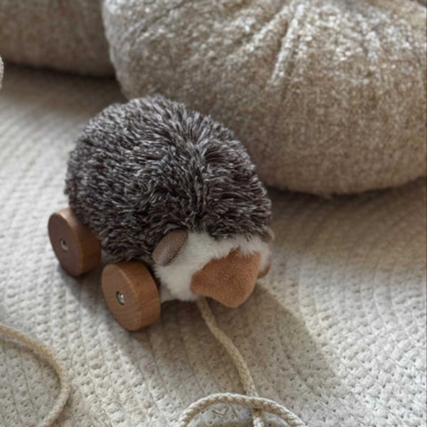 Little Lamb Kind - Hedgie // Pull-along toys