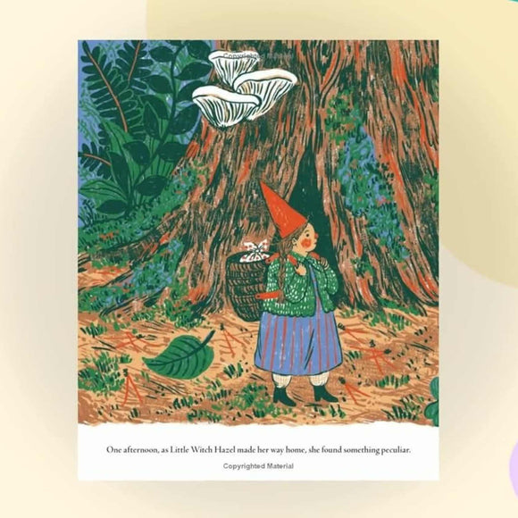 Little Witch Hazel: A Year in the Forest by Phoebe Wahl