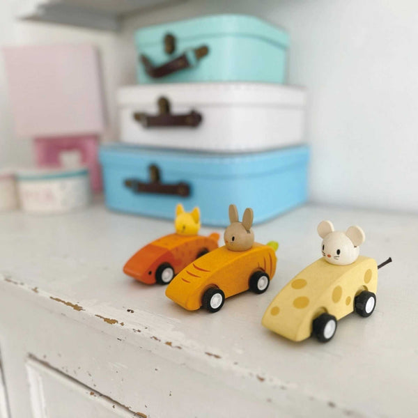 Mentari - Animal Friends Racing Cars